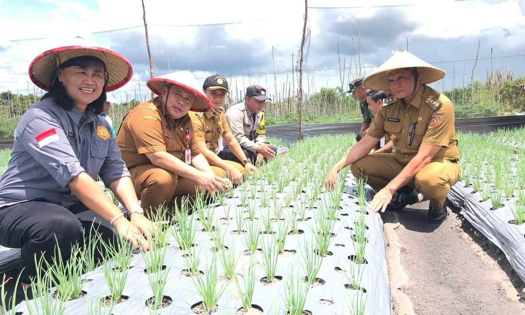 foto ilustrasi tengkulak