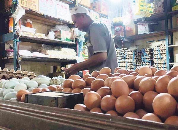 harga telur sampit