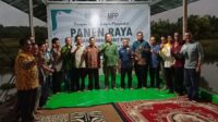 panen raya padi 1