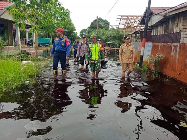 pantau banjir