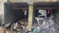 jembatan sungai taki