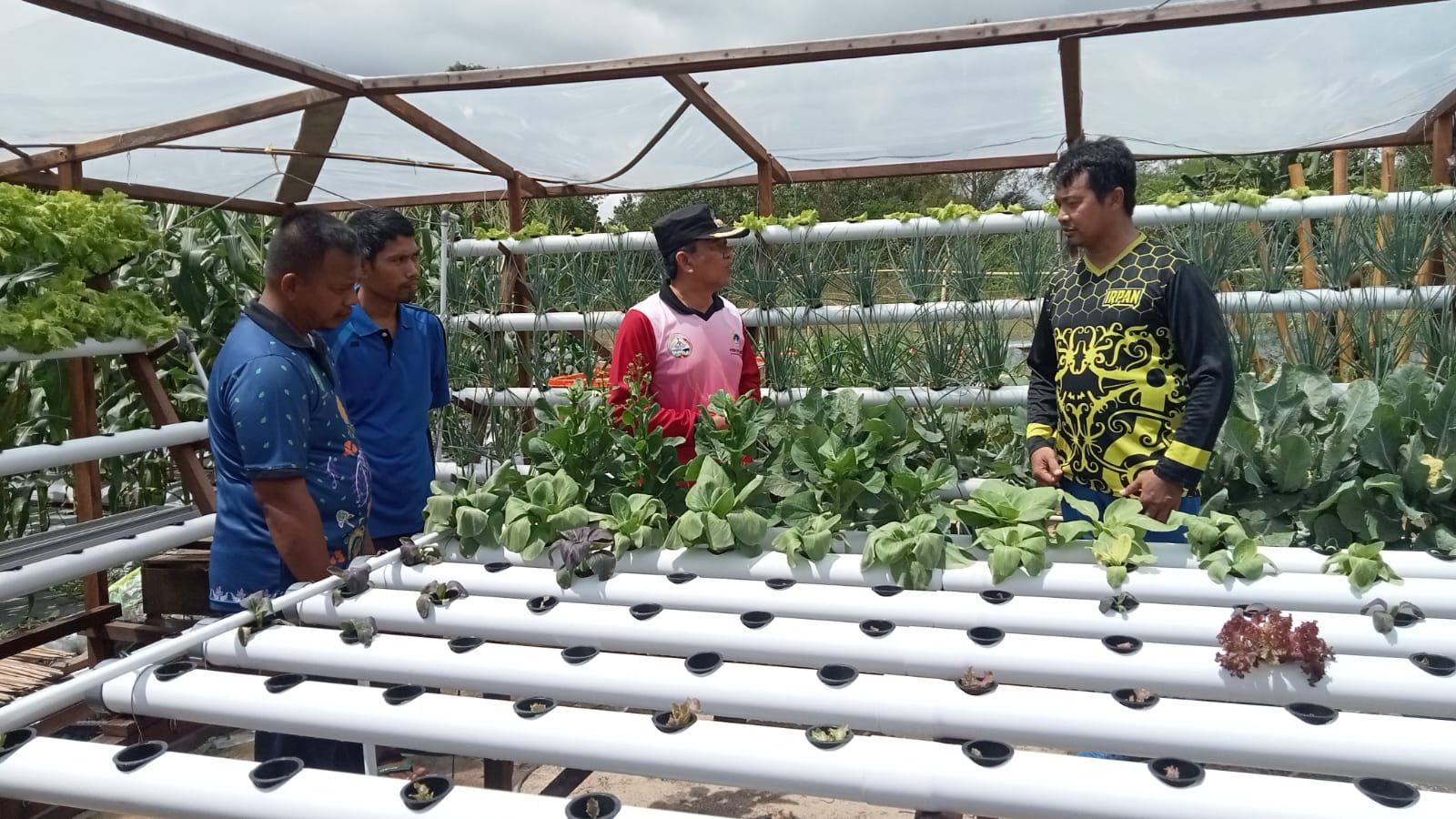 Wakil Bupati Sukamara Ahmadi saat mengecek demplot pertanian di lokasi utama Peda KTNA Kalteng.