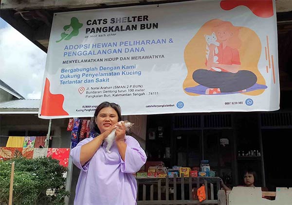penampung kucing