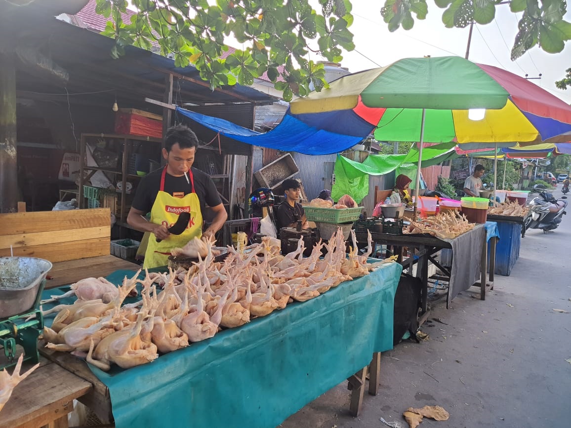 1. open utama ayam