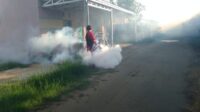 berantas nyamuk fogging