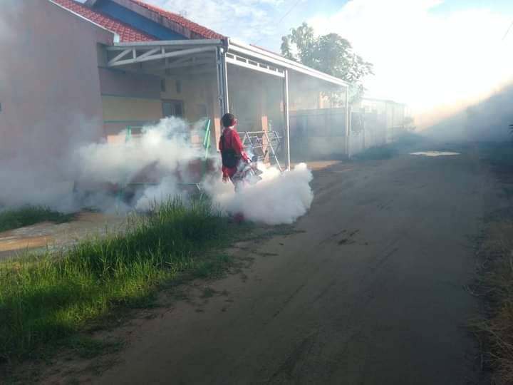 berantas nyamuk fogging