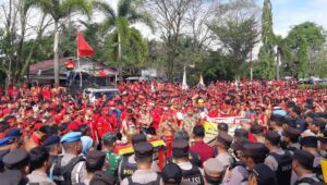 demo tbbr dayak