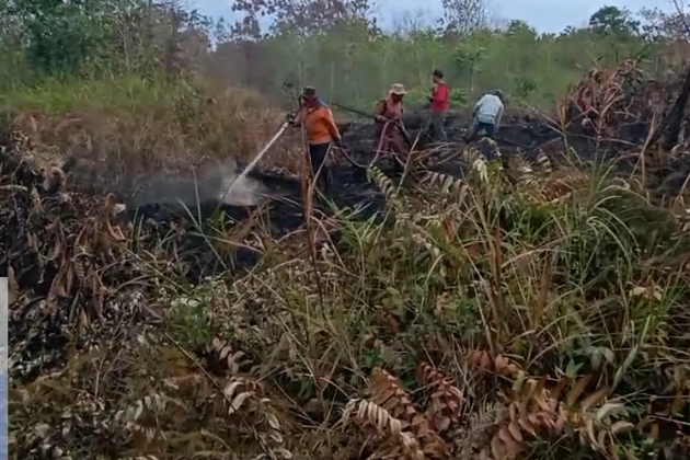 karhutla sungai bakau