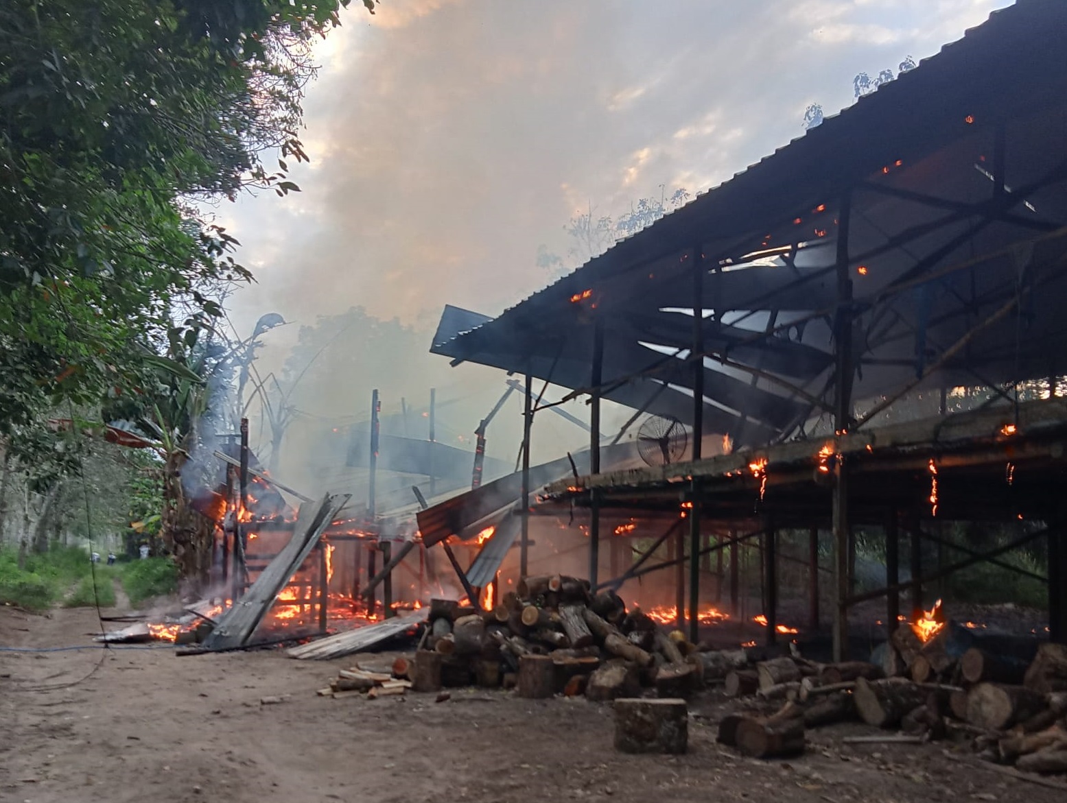 kebakaran kandang ayam
