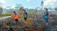 kebakaran tasik payawan