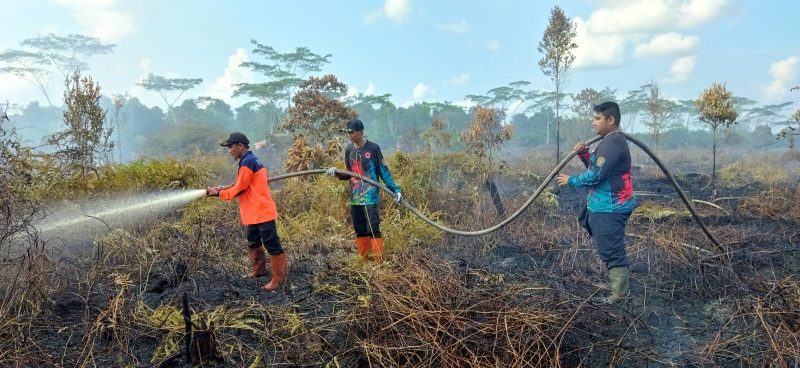 kebakaran tasik payawan