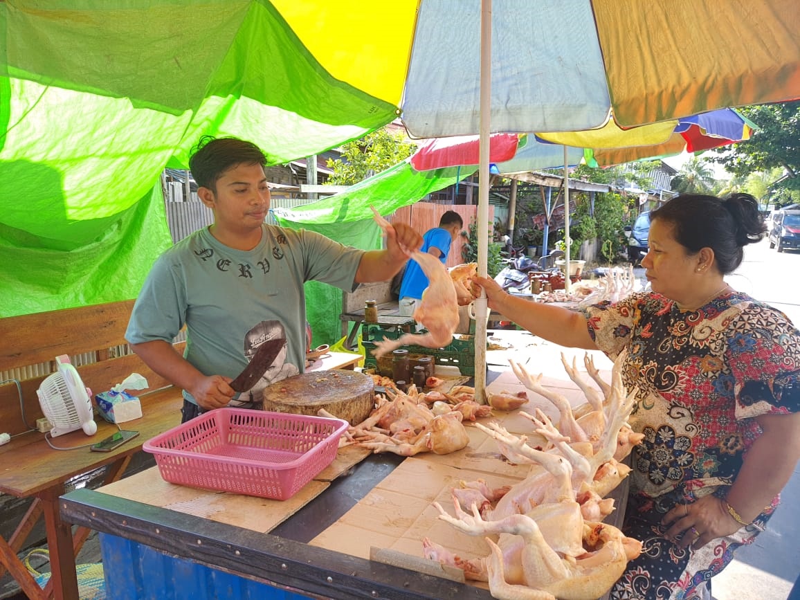 penjual ayam