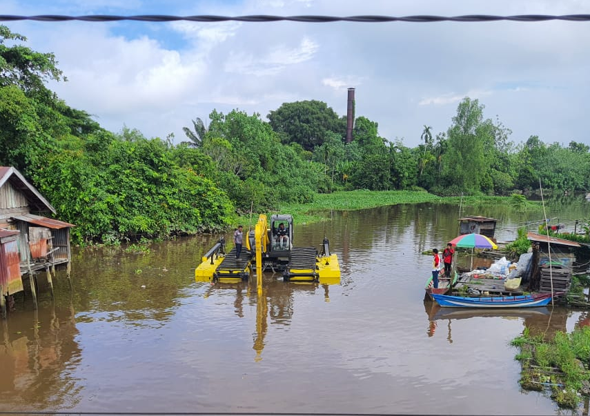 1 amphibi