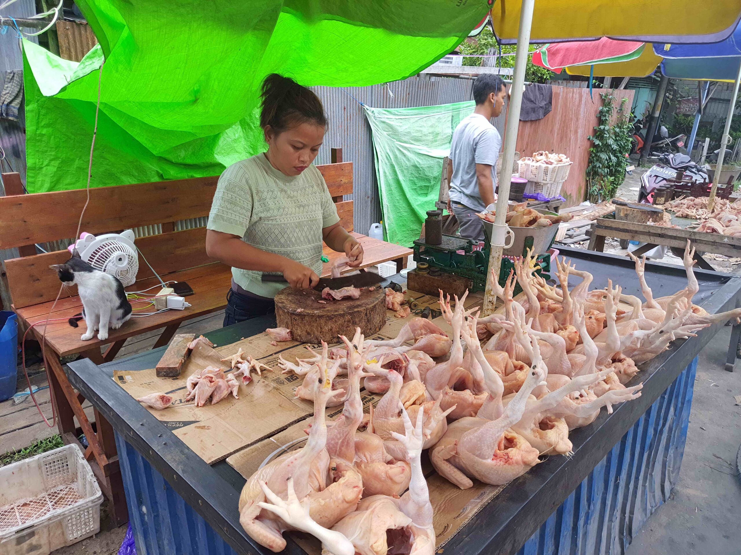 1 ayam