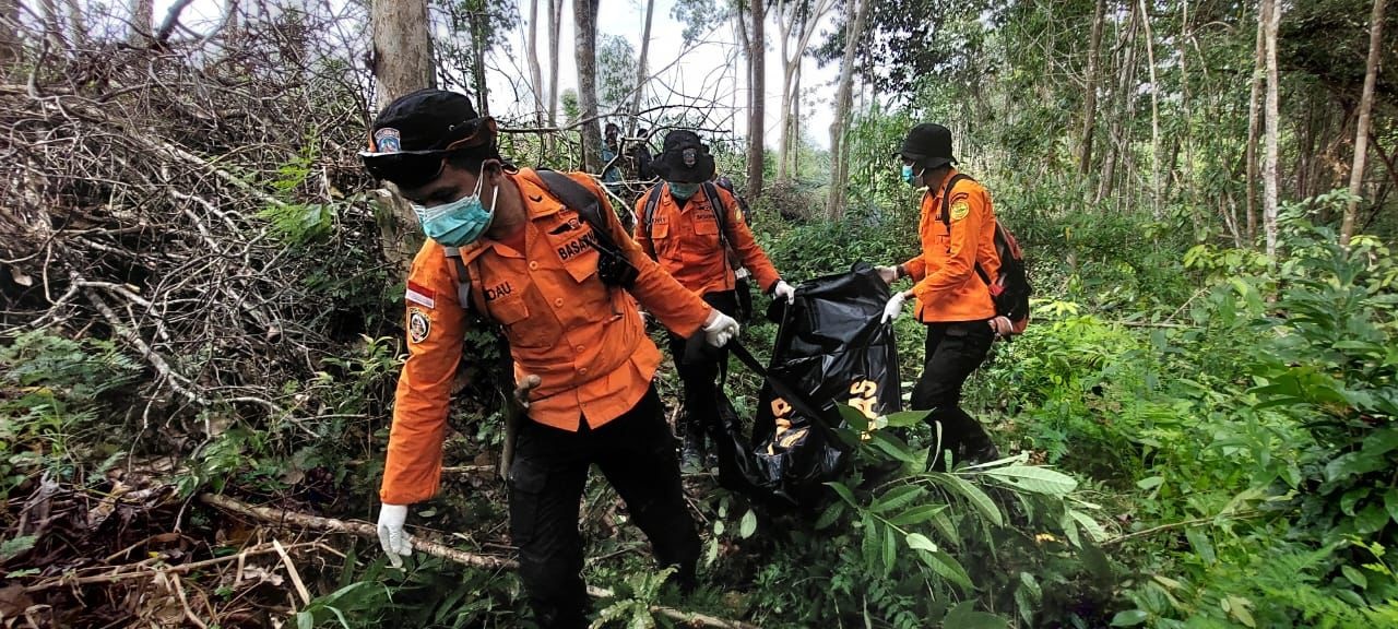 TEWAS DI HUTAN