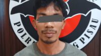 walet pulpis