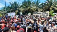 demo sawit