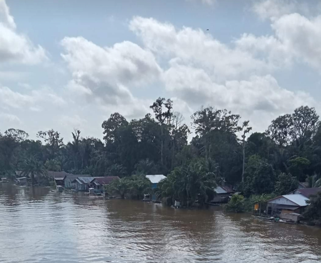 lupan sungai lamandau