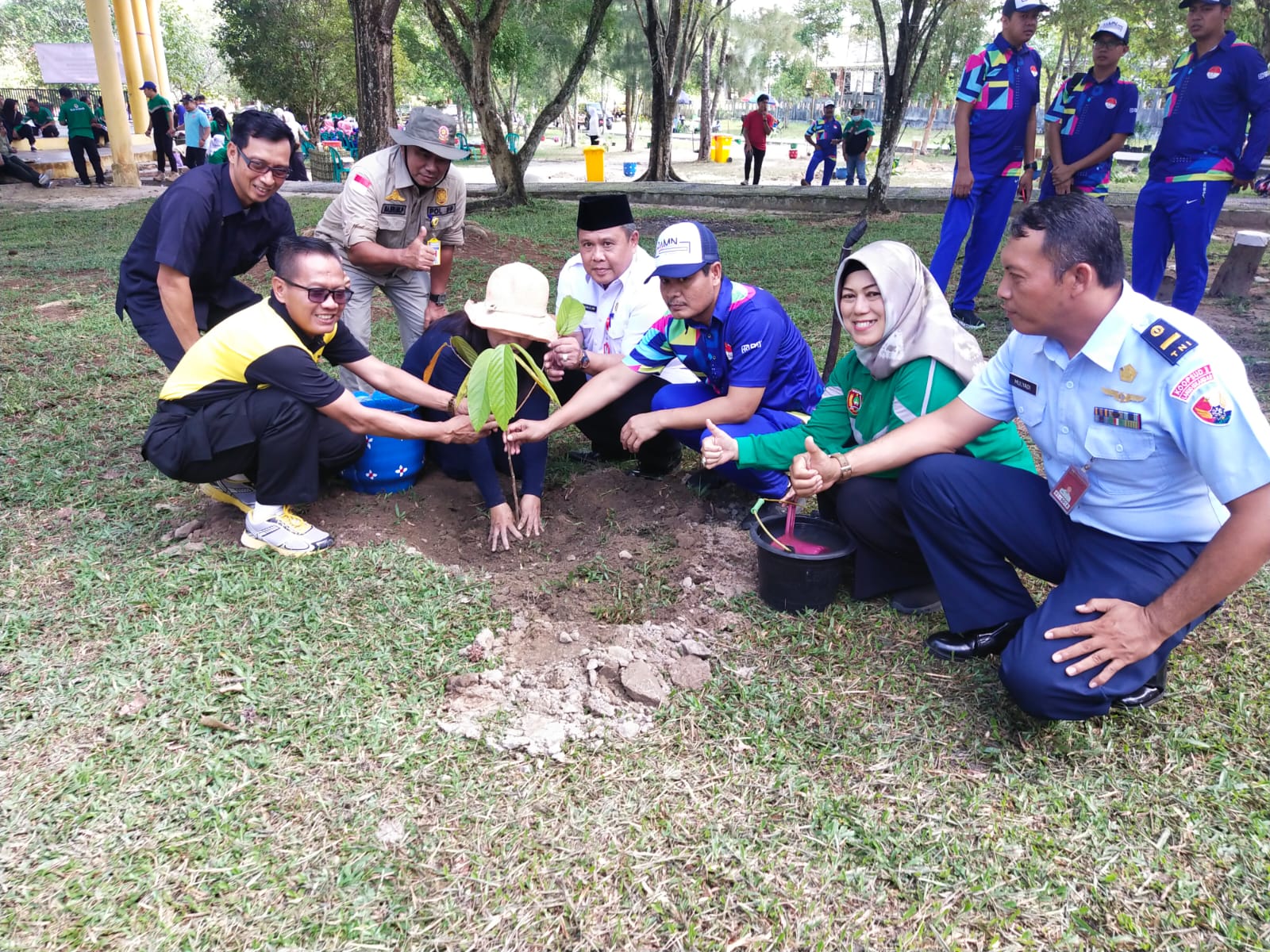 tanam pohon