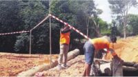 jembatan lamandau