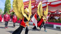 1 open pawai