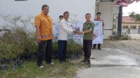 bibit ketapang