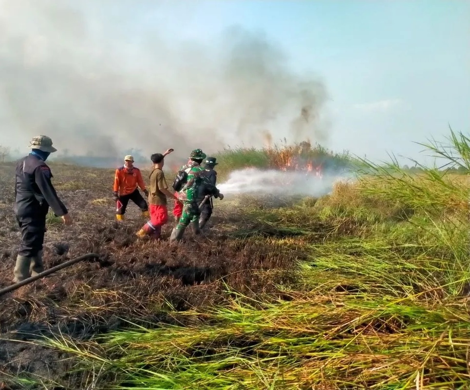 karhutla kapuas