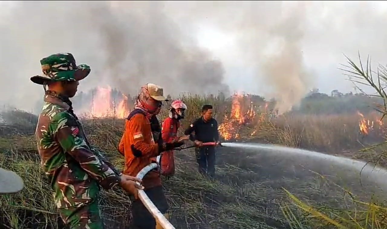kebakaran dadahub kapuas kebakaran dadahub kapuas