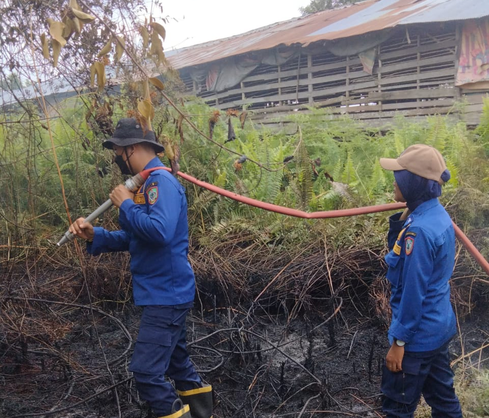 kebakaran lahan sampit