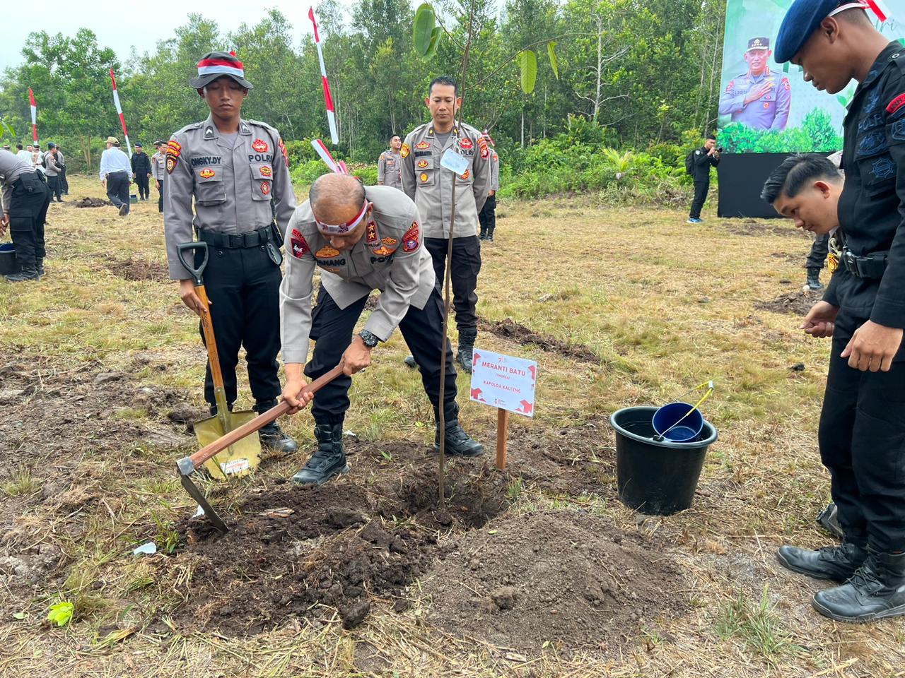 tanam pohon 1