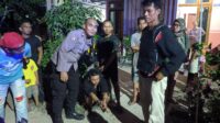 maling lepiji