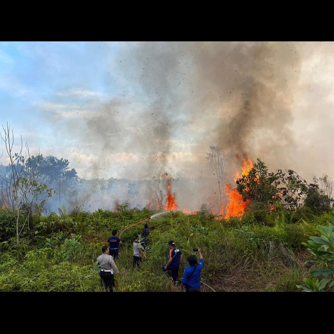 karhutla lamandau