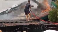 kebakaran kumai hulu