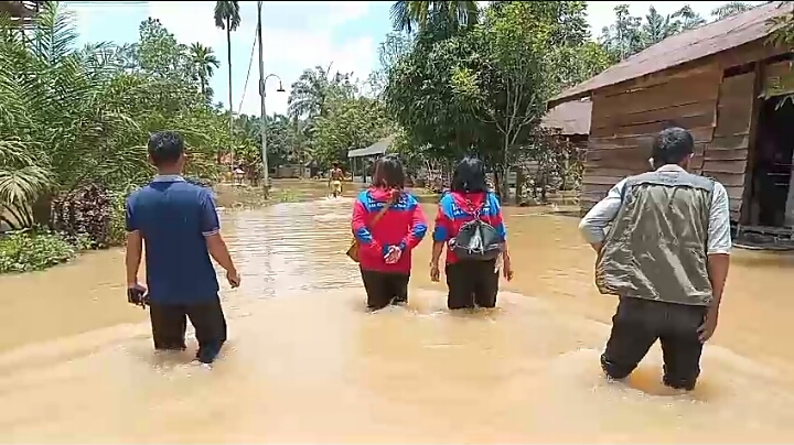 banjir kotim