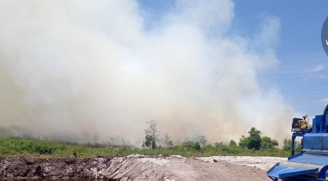 KARHUTLA KUBU karhutla kubu