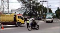 pelingkau