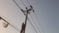 PLN