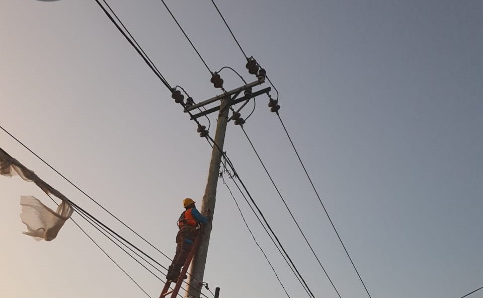 PLN