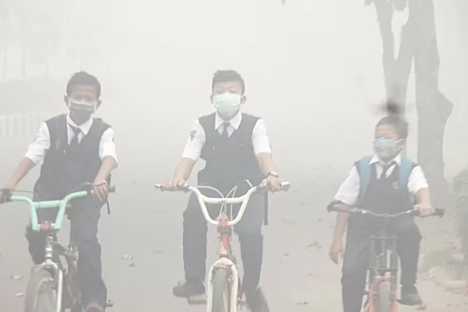 kabut asap pulang pisau