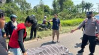 kecelakaan sampit