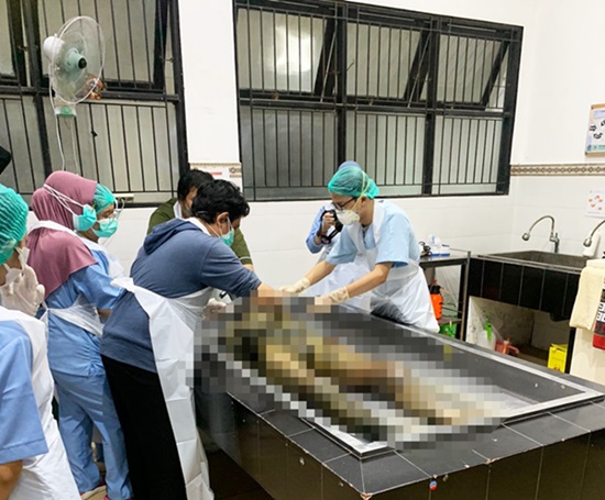 mayat sampit autopsi
