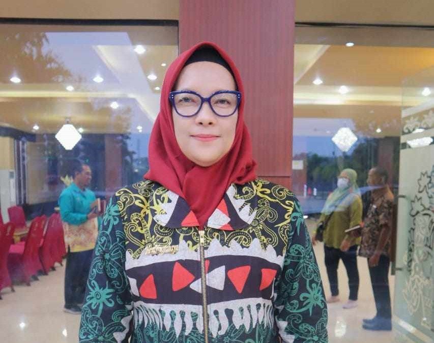 Hera Nugrahayu, Pj Wali Kota Palangka Raya