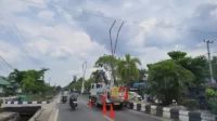 pju