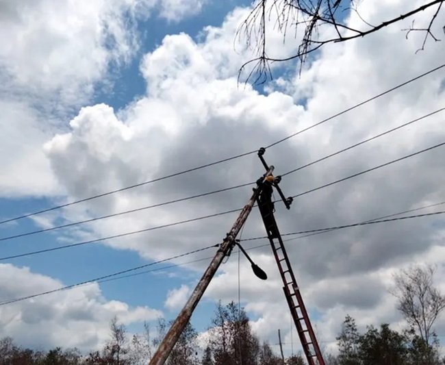 pln web