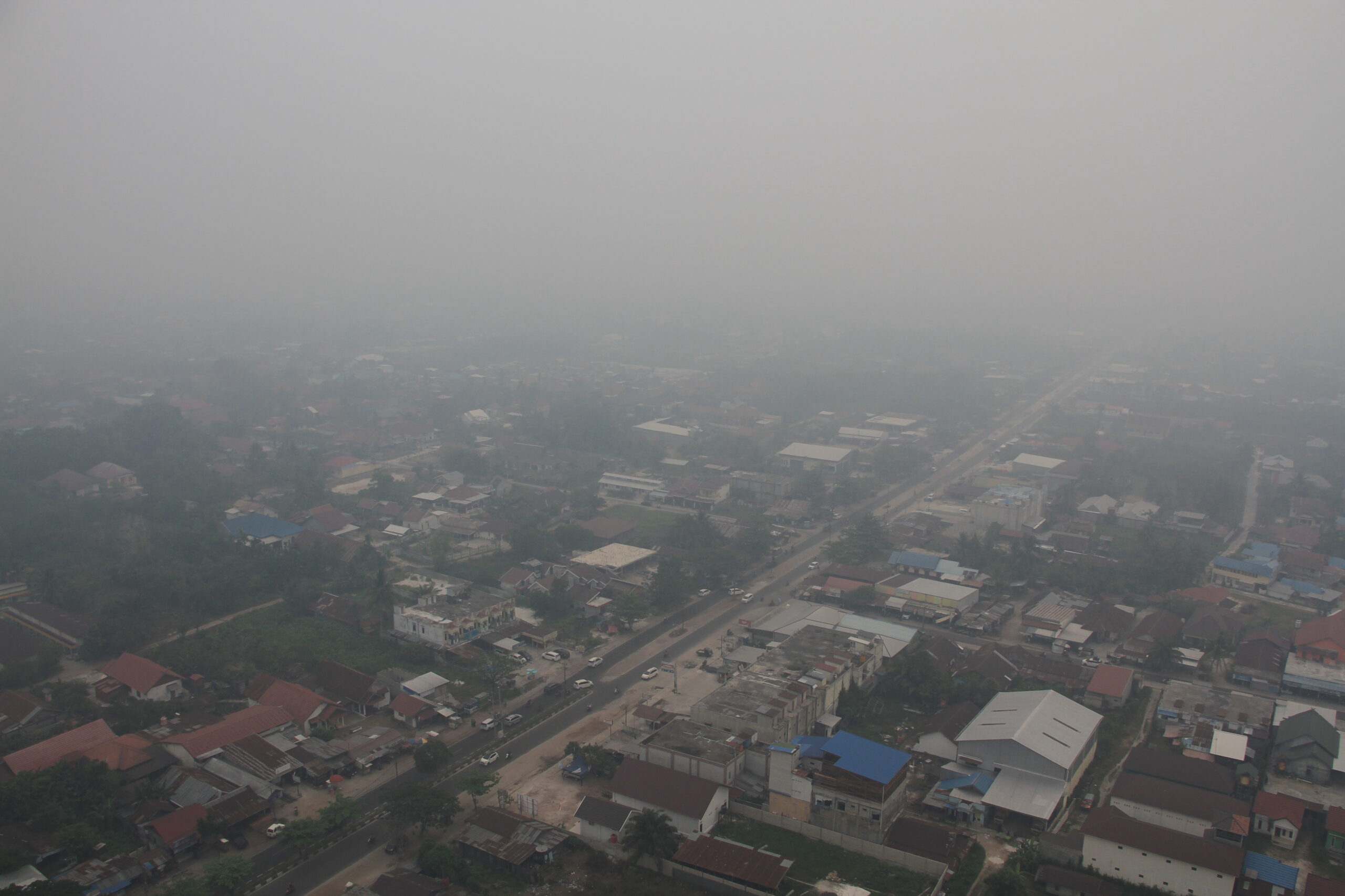 suasana kota diselimuti kabut asap di palangka raya, kalimantan tengah, rabu (4/10/2023).