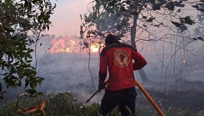 padamkan karhutla