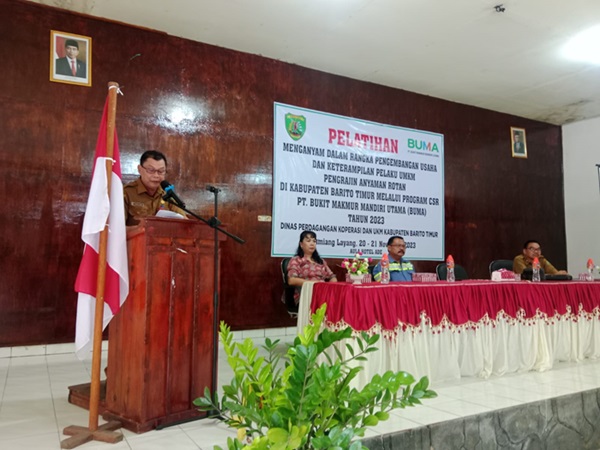 pelatihan rotan