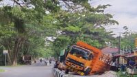 truk fuso