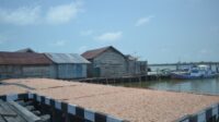 udang sukamara
