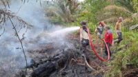 kebakaran hutan